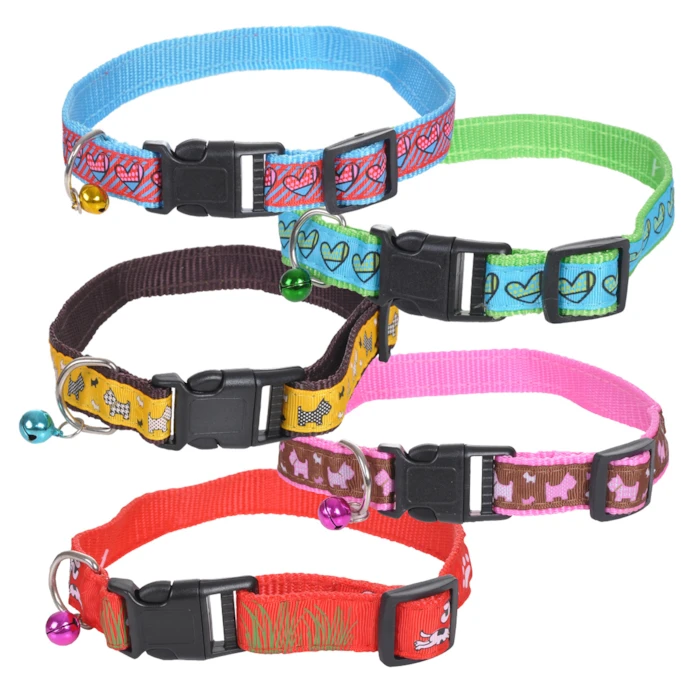 Coleiras personalizadas